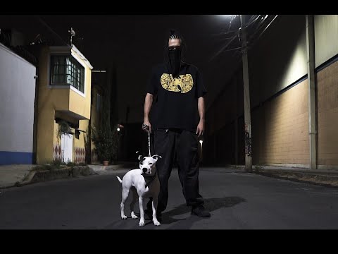 Perro Zw - Así Son Mis Lunas (Tributo a Control Machete)