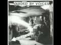 Guided By Voices - Spring Tiger