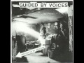 Guided By Voices - Spring Tiger 