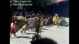 preview picture of video 'singo barong kala manunggal live pantai cahaya part2.flv'