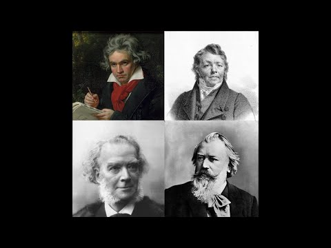 Cadenzas of Mozart's Piano Concerto No. 20, mvt. 1