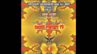 Woody McBride - Big Acid (Delta 9 Remix) (Acid Techno 2001)