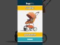 stroller - paseante video thumbnail