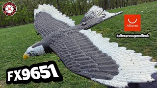 FX RC Eagle Open Park Fun