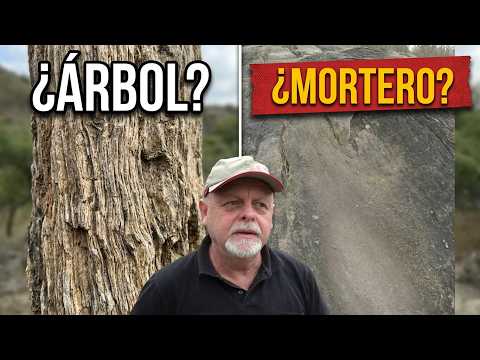 MISTERIO EN LA ROCA: ¿Árbol petrificado o mortero ancestral? / Sierras de Córdoba Argentina