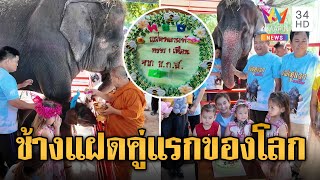 คู่แรกของโลก ลูกช้างฝาแฝดต่างเพศ ทำบุญอายุครบ 1 เดือน | ข่าวอรุณอมรินทร์ | 8/7/67