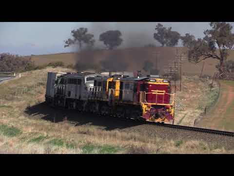 Mighty Alcos on the Harefield shunt 852 864 4497 872 and three NRs Junee 13 May 2019.