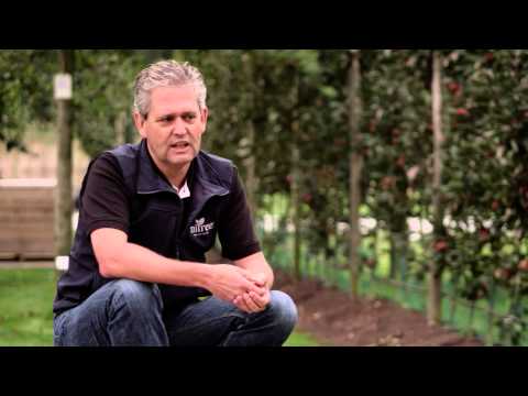 download lagu mp3 mp4 Minitree, download lagu Minitree gratis, unduh video klip Minitree