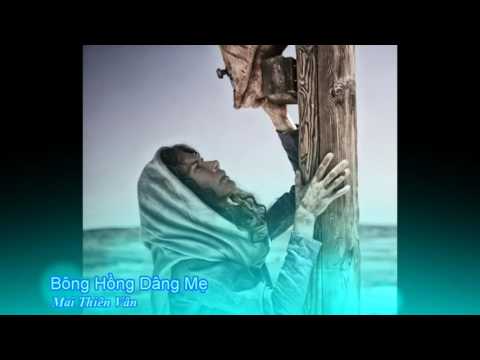 Bông hồng dâng Mẹ Sheet - Mai Thiên Vân