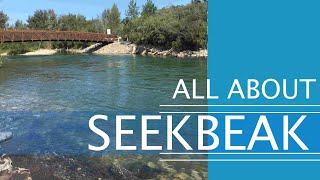 SeekBeak video