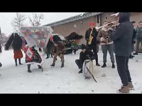 Repetiti la capra de la SATU-NOU BELCESTI