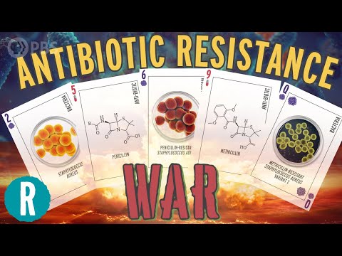 The Antibiotic Resistance War