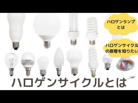 ランプについて詳しく解説