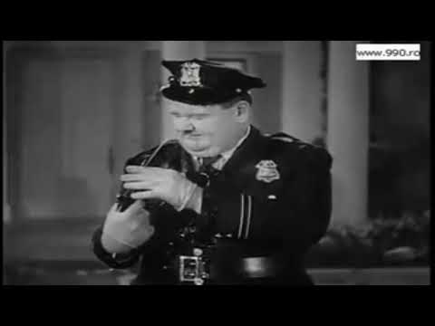 Stan si Bran    Politisti