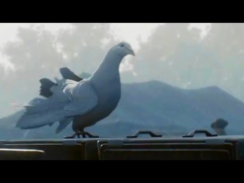 Battlefield 1 Pigeon Gameplay