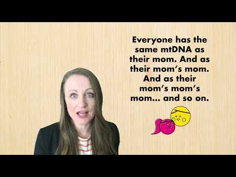 mtDNA Full-Sequence Tests for Family History