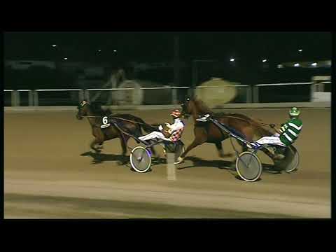 Trotto 04/09/2020 - 9ª corsa