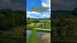 Download lagu sampurasun wargii sadayana ,,wilujeung leleson 🙏🙏#sunda #pesawahan #pedesaan #viral #kampungkuring mp3 Download lagu sampurasun wargii sadayana ,,wilujeung leleson 🙏🙏#sunda #pesawahan #pedesaan #viral #kampungkuring mp3