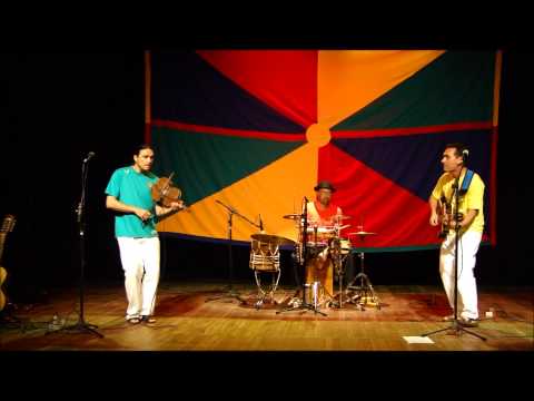 Bichos video