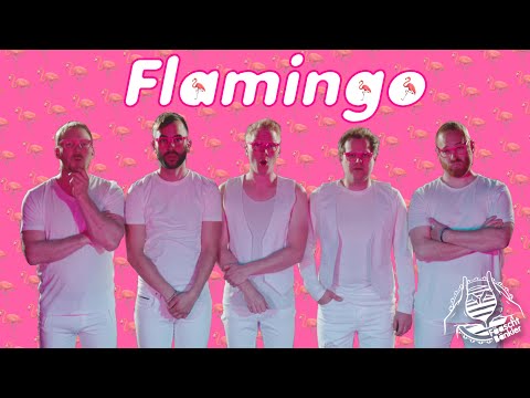 Video thumbnail for Flamingo