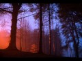 Caribou ~ Kaili (Analphabeth Remix) 