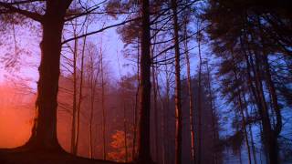 Caribou ~ Kaili  (Analphabeth Remix)