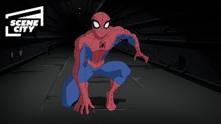 Spider-Man vs. Tombstone and Doc Ock | The Spectacular Spider-Man (2008)