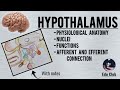 Hypothalamus || Nuclei | Functions | Connections | Physiological Anatomy