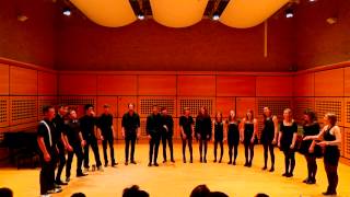 Michael Jackson Medley by Kurt Schneider/Sam Tsui - A Cappella Cover By RadioOctave