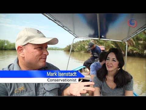 Trang | Traditions using the versatile Nipa Palm