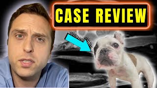 Veterinarian Reviews Some of His Recent Cases (REAL)