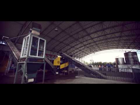 Elaboración del aceite - Oro del Desierto Ecológico Hojiblanca Lata 3L