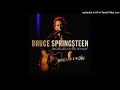 Bruce Springsteen Silver Palomino Rome 06/06/2005