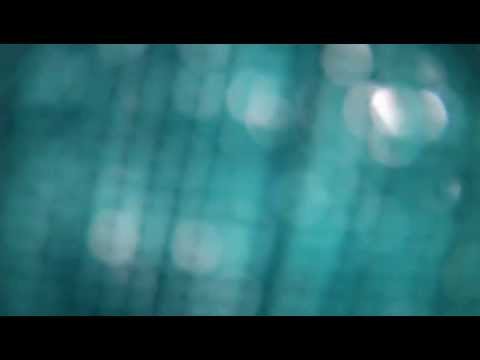 Хамон в лавке в Барселоне. GoPro Hero 2. 