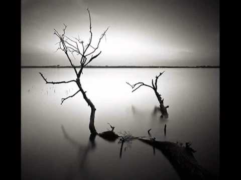 YOU- SCHILLER ft Colbie Callat