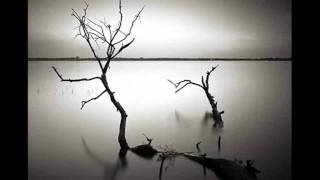 YOU- SCHILLER ft Colbie Callat