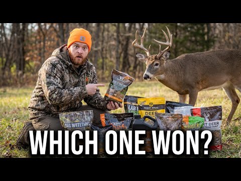 I Tested Every Deer Attractant