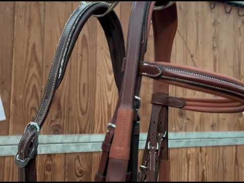 Ancre de présentation HIPPOTONIC