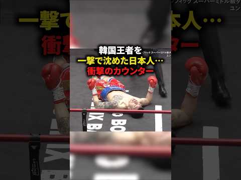 韓国王者を一撃で沈めた日本人⋯衝撃のカウンター　#格闘技