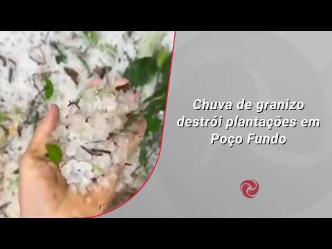 Chuva de granizo destrói plantações em Poço Fundo