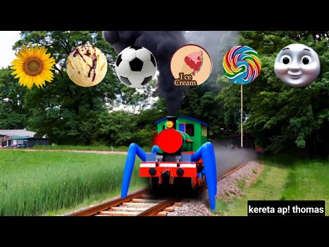 Teka-Teki Tebak Gambar Kereta Api CC201 Berubah Thomas Exe, Bus Pariwisata, Lani, Titipo Genie, Tayo