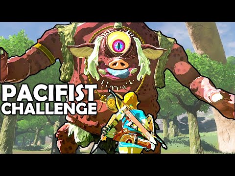 EVENTIDE ISLAND - Pacifist Challenge | Breath of the Wild | Zelda BotW | Basement | S3E55