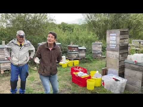 Live von Pias Bienenstand - 15.09.