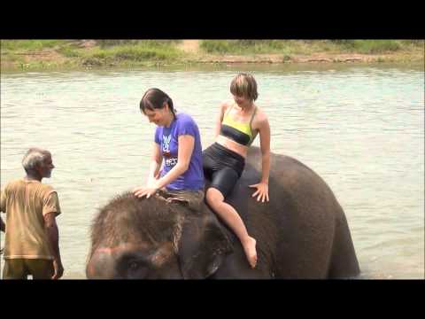 Читван, купание со слонами