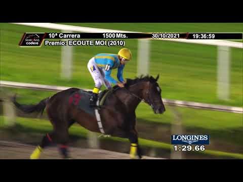 211030 c10 MASTRO BOY