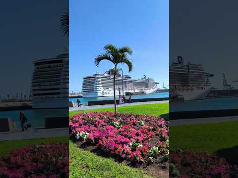 Thumbnail for 🚢 ¡El Crucero MSC Fantasia en Las Palmas de Gran Canaria Muelle Las Palmas de Gran Canaria