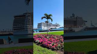🚢 ¡El Crucero MSC Fantasia en Las Palmas de Gran Canaria Muelle Las Palmas de Gran Canaria
