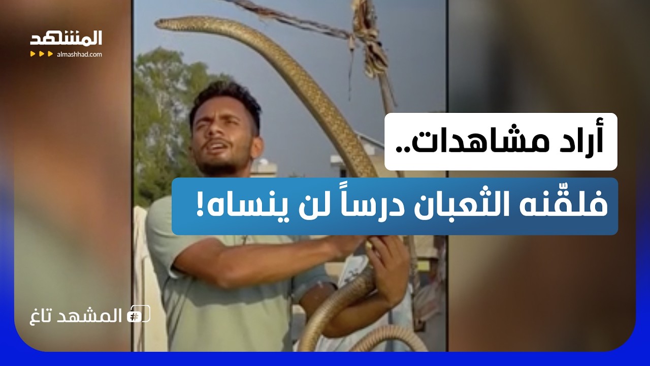 استفز الثعبان من أجل المشاهدات.. فكاد يدفع الثمن بوجهه  - المشهد تاغ