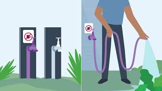 Class A Recycled water - Purple tap test
