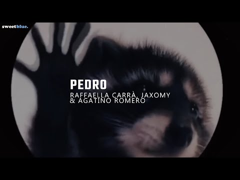 la canción de pedro | PEDRO - Raffaella Carrà, Jaxomy, Agatino Romero (Remix TikTok / Sub. Español)